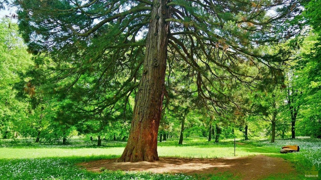 Agropenzion 7Divov Dolna Krupa المظهر الخارجي الصورة